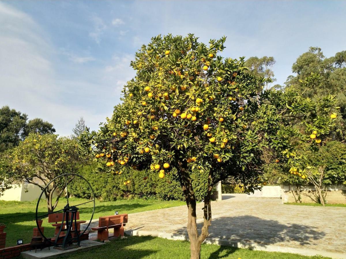 Metro Vilar Suites & Villas Vilar do Pinheiro Eksteriør billede